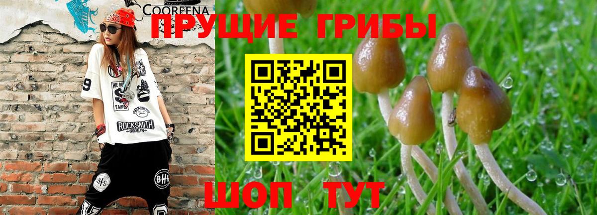 Псилоцибиновые грибы мицелий  Вход с VPN  Нововоронеж 